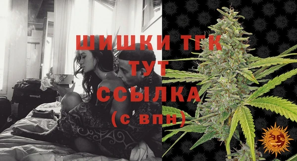 шишки Белоозёрский
