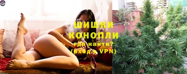 шишки Белоозёрский