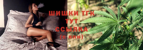дмт Белокуриха