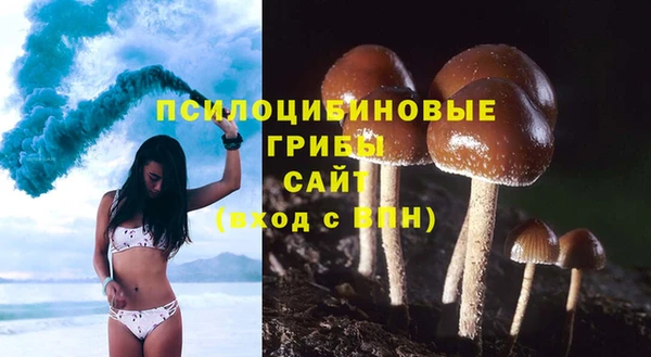 шишки Белоозёрский